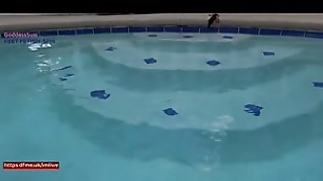 Sexy Feet Worship with GoddessSusi Free Cam to Cam Sex Chat Inside a warm pool in her stockings and collar