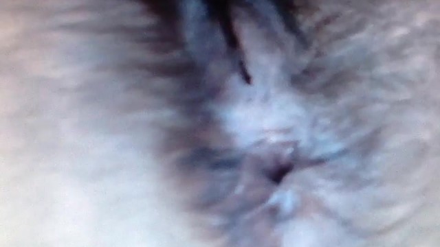 Hairy bush cam girl spreads ass and pussy